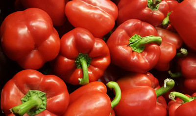 VASUDHA Capsicum Red Organic Seed(250 per packet)