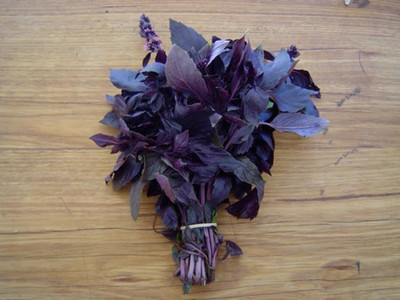 Glance Basil Red Traditional Seed(250 per packet)