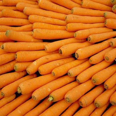 CYBEXIS King West Imported Carrot Variety2000 Seeds Seed(2000 per packet)