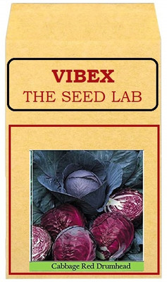 CYBEXIS Red Cabbage Hybrid Seeds500 Seeds Seed(500 per packet)