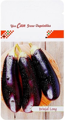 CRGO BRINJAL , BAIGAN Seed(250 per packet)