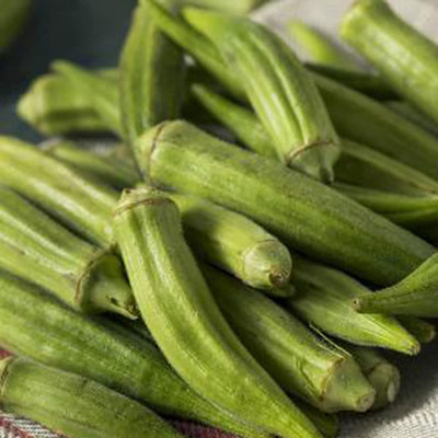 CYBEXIS Organic Okra Seeds800 Seeds Seed(800 per packet)