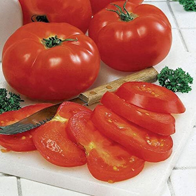 Qualtivate AXL-1AT Big Beef Hybrid Seed(300 per packet)
