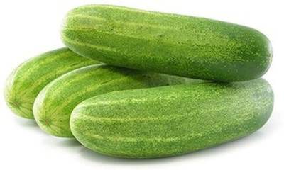 TRICONE Rajni Cucumber Kheera Seeds 320 Beej F13 Seed(320 per packet)