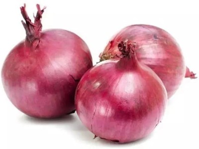 Quentova Nasik Super Red (कांदा) Onion-VK-9F Seed(300 per packet)