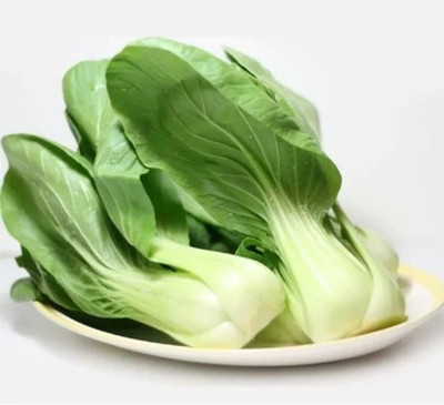 WILLVINE KGF -XII Pak Choi Seeds for Planting [50g] Seed(15000 per packet)