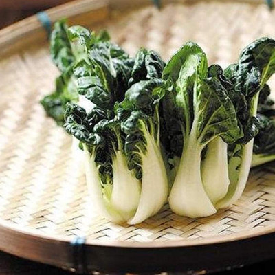 KNESSiN Cabbage Mini Pak Choi Seed(200 per packet)