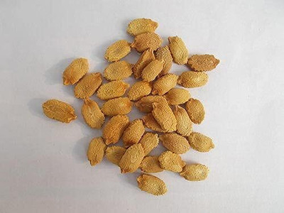 Qualtivate PUAS-8A 026 F1 Hybrid Bitter Gourd Seeds Seed(50 per packet)