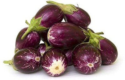 VibeX ® XLR-501 Purple Brinjal Vegetable Seeds Seed(200 per packet)