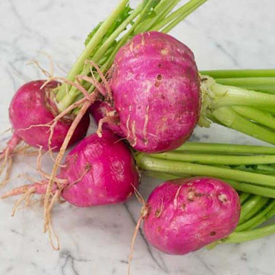 Finiox TURNIP RED, SHALGAM Seed(25 per packet)
