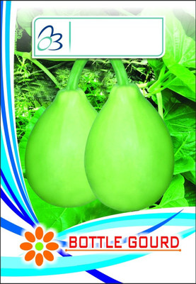 WILLVINE Bottle Gourd Seeds- [Lauki/Lau/Clabas] High Yield For Planting-[400 Seeds] Seed(400 per packet)