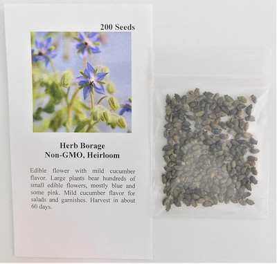 CYBEXIS HUA-82 - Blue Borage(Borago officinalis) - (450 Seeds) Seed(450 per packet)