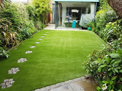 DEYS AGRO ™ mexican lawn garden grass seeds Seed(2100 per packet)