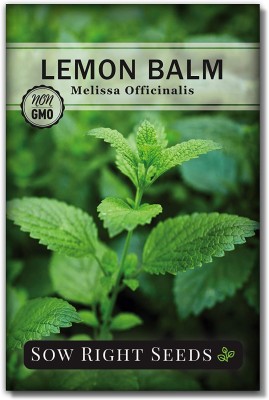 VibeX NDIR-68 - Lemon Balm - (450 Seeds) Seed(450 per packet)