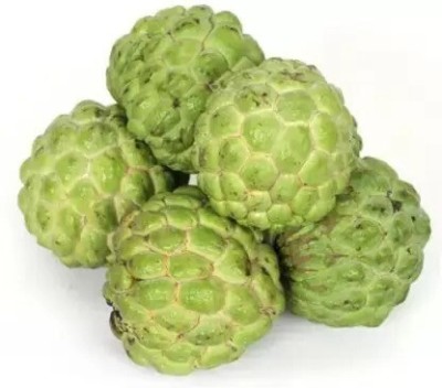 MAA Custard Apple, sitafal, sitaphal Seed(22 per packet)