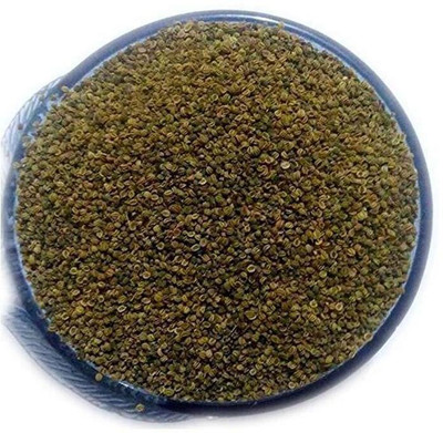 WILLVINE Apium Graveolens Celery Seed - Ajmod Beej-[300 Seeds] Seed(300 per packet)