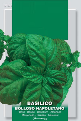 Qualtivate TLX-17 Basil Napoletano Seed(1000 per packet)