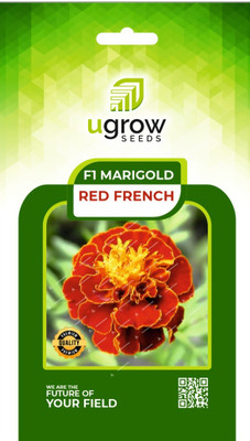 U-GROW INDIA UGROW INIDA RED FRENCH MARIGOLD: BOLD BLOOMS FOR YOUR GARDEN Seed(40 per packet)