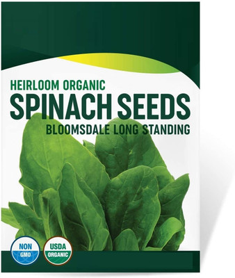Qualtivate ICRA-1A Heirloom Spinach(Bloomsdale Long Standing) Seed(300 per packet)
