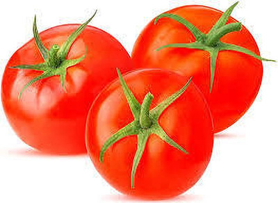 XOLDAA hybrid f1 quality tomato seeds Seed(20 per packet)