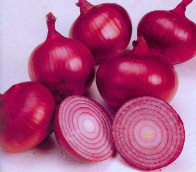 VibeX ® XLR-905 Onion Improved Dark Red Seeds Seed(1000 per packet)