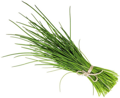 CYBEXIS Garlic chives2800 Seeds Seed(2800 per packet)