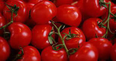 Oliver HYBRID F1 QUALITY TOMATO SEEDS Seed(45 per packet)