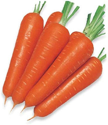 wequality carrot seeds hybrid/carrot seed 150 Seed(150 per packet)