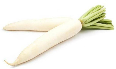 MAA Radish, Muli Seed(80 per packet)