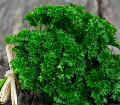 SOWCAN Triple Curled Parsley Petroselinum crispum Seed(100 per packet)