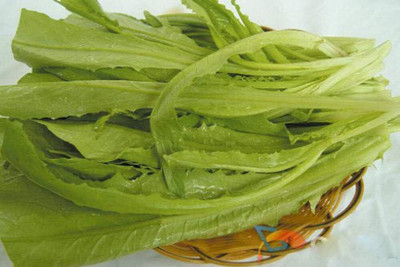 KNESSiN Lettuce Seed(200 per packet)
