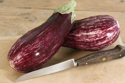 CYBEXIS Brinjal Seeds - White-Purple Vegetables2400 Seeds Seed(2400 per packet)