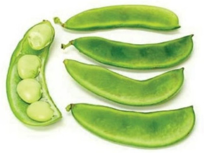 SELOW Lima Beans Vegetable Garden Seed(20 per packet)