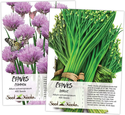 VibeX LX-64 - Common Chives & Garlic Chives - (250 Seeds) Seed(250 per packet)