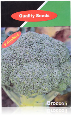 KNESSiN High Germination Broccoli Quality Seeds Seed(200 per packet)