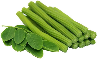 RSLT Fine Quality drumstick/moringa Oleifera Seed(100 per packet)