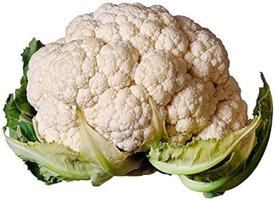 KNESSiN Self-Blanche Cauliflower Seed(1250 per packet)