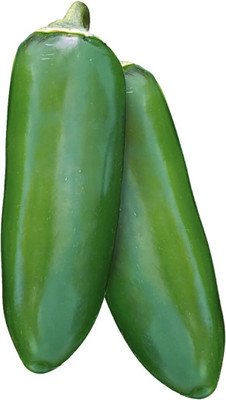 Biosnyg Non GMO Jalapeno Gigante Hot Pepper Seeds for Home Gardening-(2000 Seeds) Seed(2000 per packet)