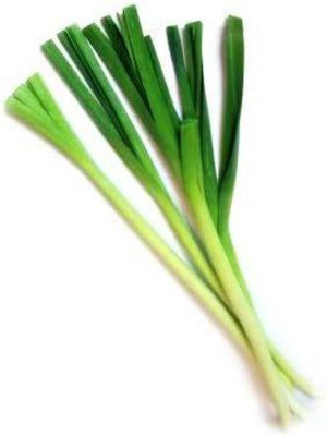VibeX XLR-6 - Garlic Chives (Allium tuberosum) - (2250 Seeds) Seed(2250 per packet)