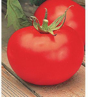 Jevik Arkansas-Traveler-Tomato Seed(160 per packet)
