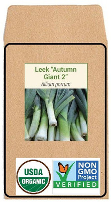 CYBEXIS Hybrid Seeds-Leek Autumn Giant 22000 Seeds Seed(2000 per packet)