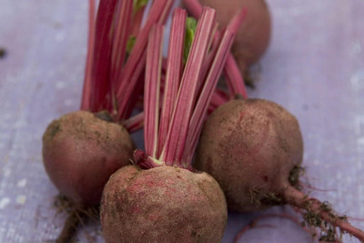 LPR CHUKANDAR,,BEETROOT Seed(50 per packet)