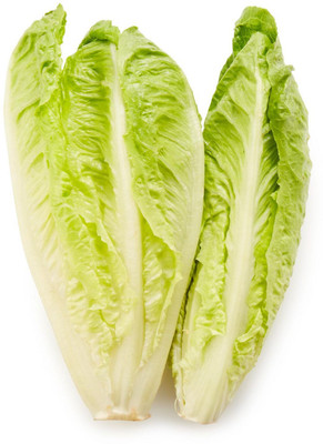 BDSresolve lettuce plant Seed(50 per packet)