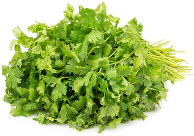 Aywal Coriander Green Leaves F1 Hybrid Seed(2500 per packet)