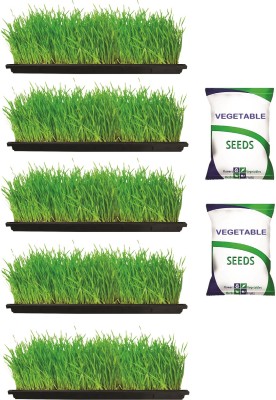 Grow Basket 2 Vegetable Seed Pack with 5 Microgreen Tray- 2 x 1ft unbreakable strong quality Seed(2 g)