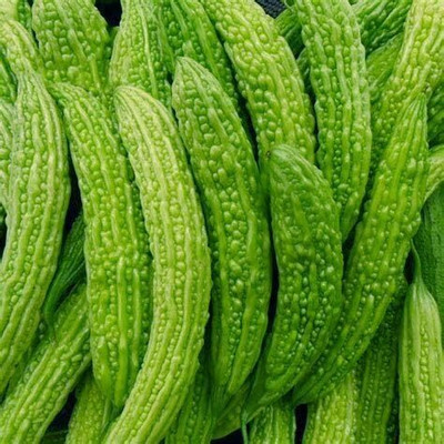 Qualtivate RES-4A Bitter Gourd Vegetable Seeds Seed(50 per packet)