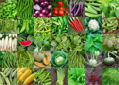 Agnico Agnico 35 Variety Of Vegetable Seeds Combo Pack With Instruction Manual.… Seed(35 per packet)