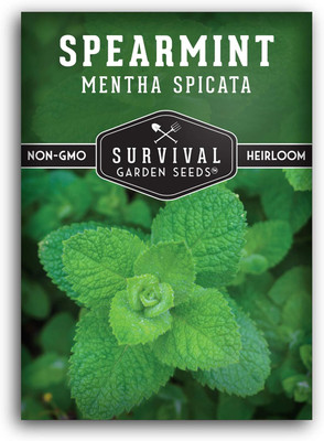Qualtivate RES-9A Spearmint Seed Mentha Spicata Seed(200 per packet)