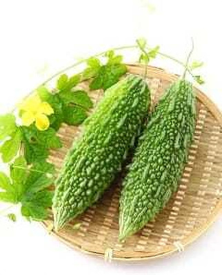 Paudhaa F1 BEST QUALITY BITTER GOURD SEEDS Seed(25 per packet)