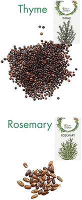CYBEXIS 2 - Varities Seeds Combo-Thyme, Rosemary Seed(10 g)